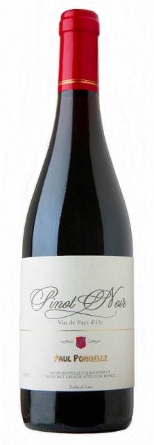 Wine Photo