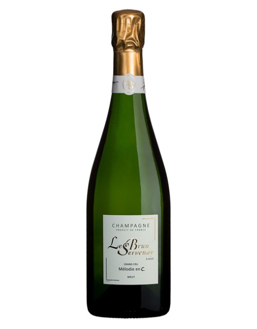 Wine Photo