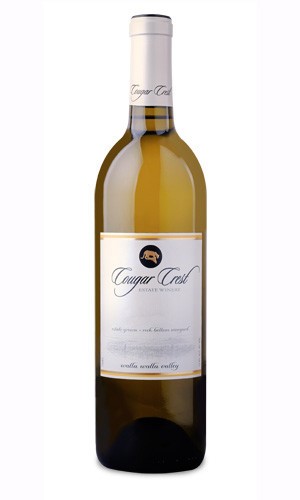 Wine Photo