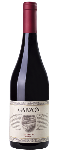 Wine Photo