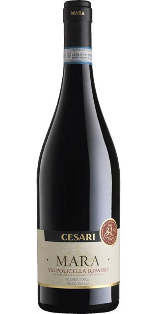 Wine Photo