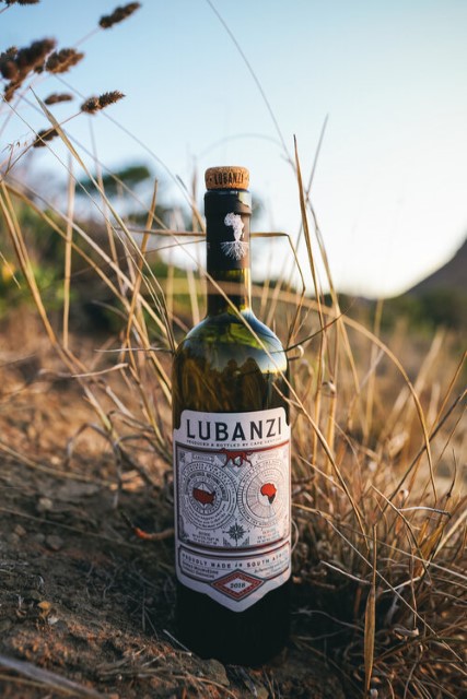 Wine Photo