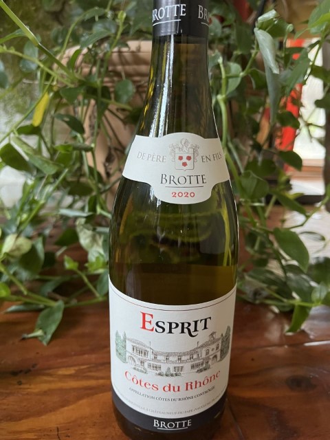 Wine Photo