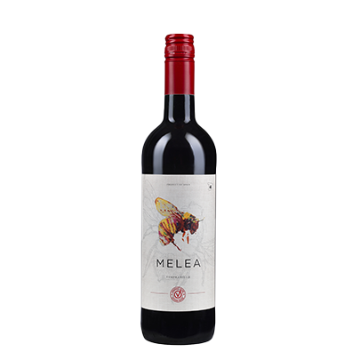Wine Photo