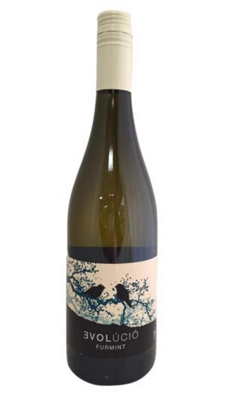 Wine Photo