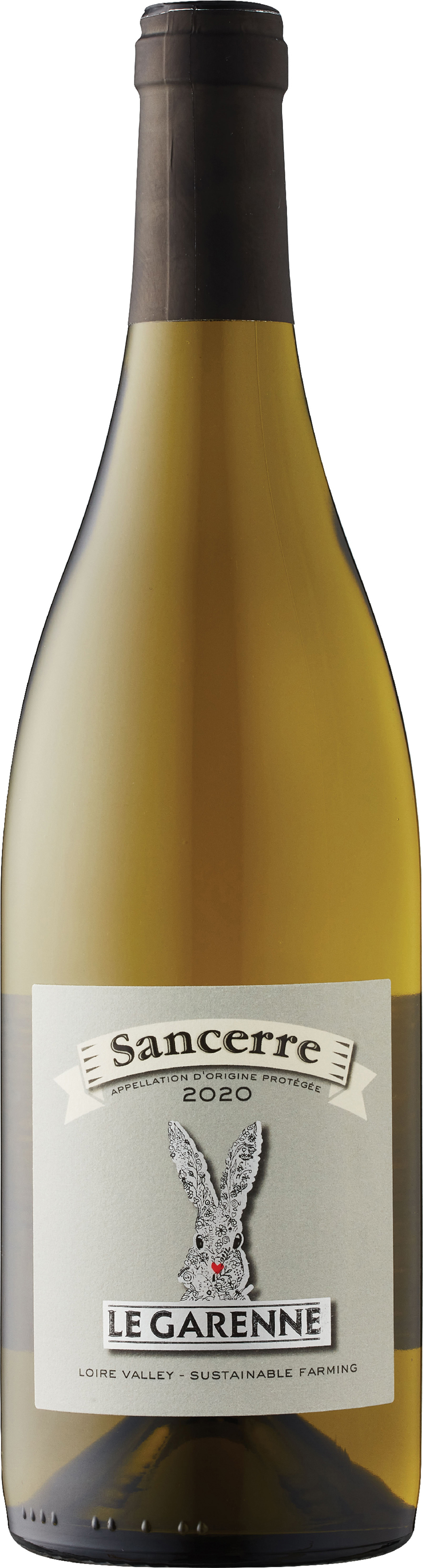 Wine Photo
