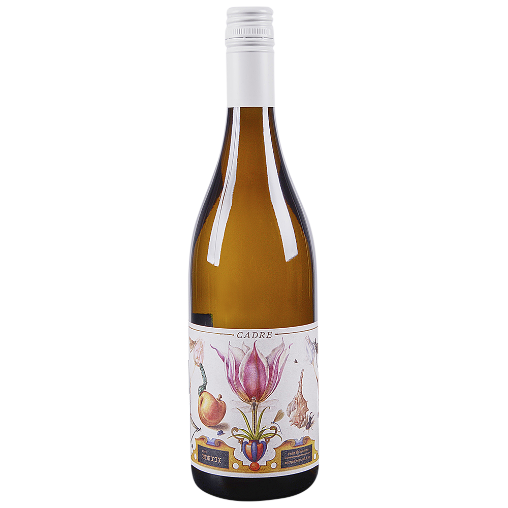 Wine Photo