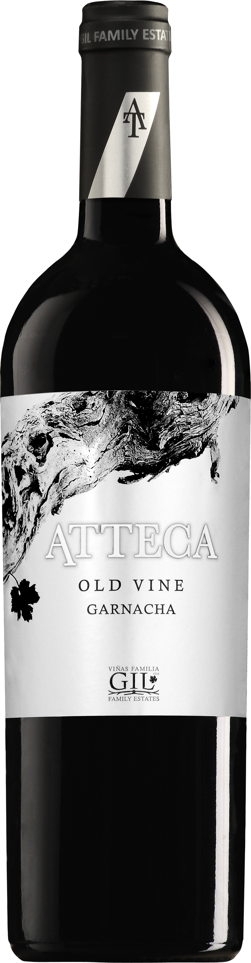 Wine Photo