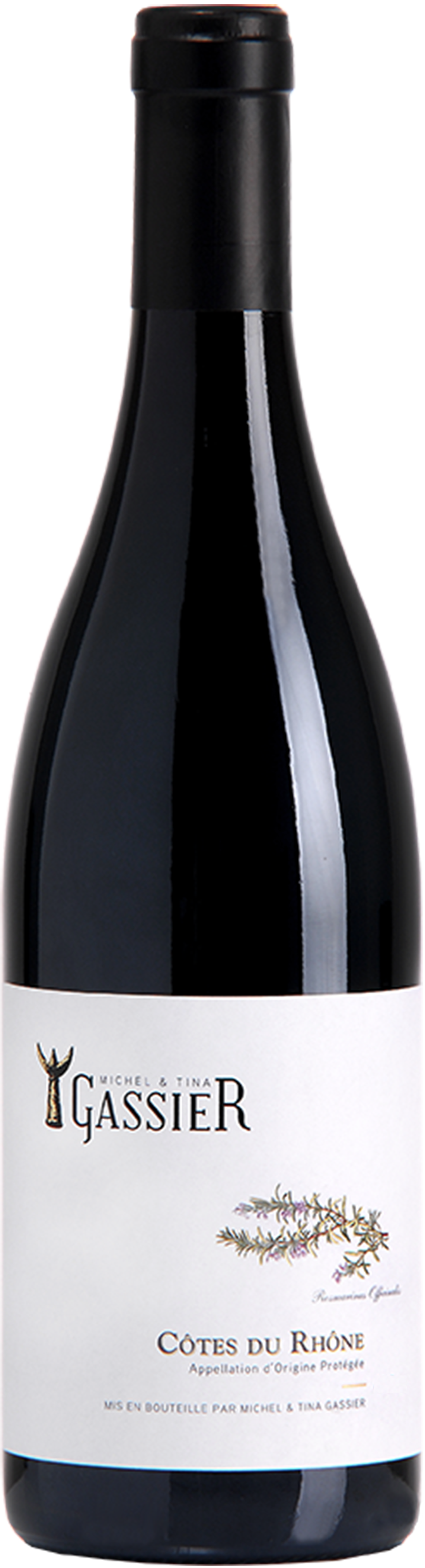 Wine Photo